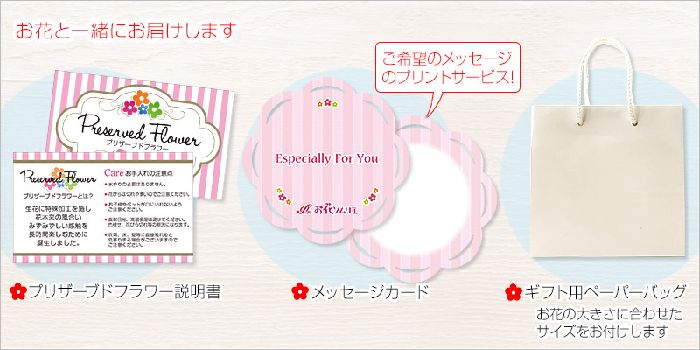 kako-uzofukguipvdgfuz.png